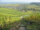 28 vignobles remich