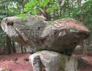 30 foret maudite queue sirene