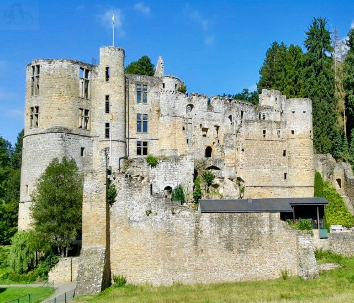 39 beaufort