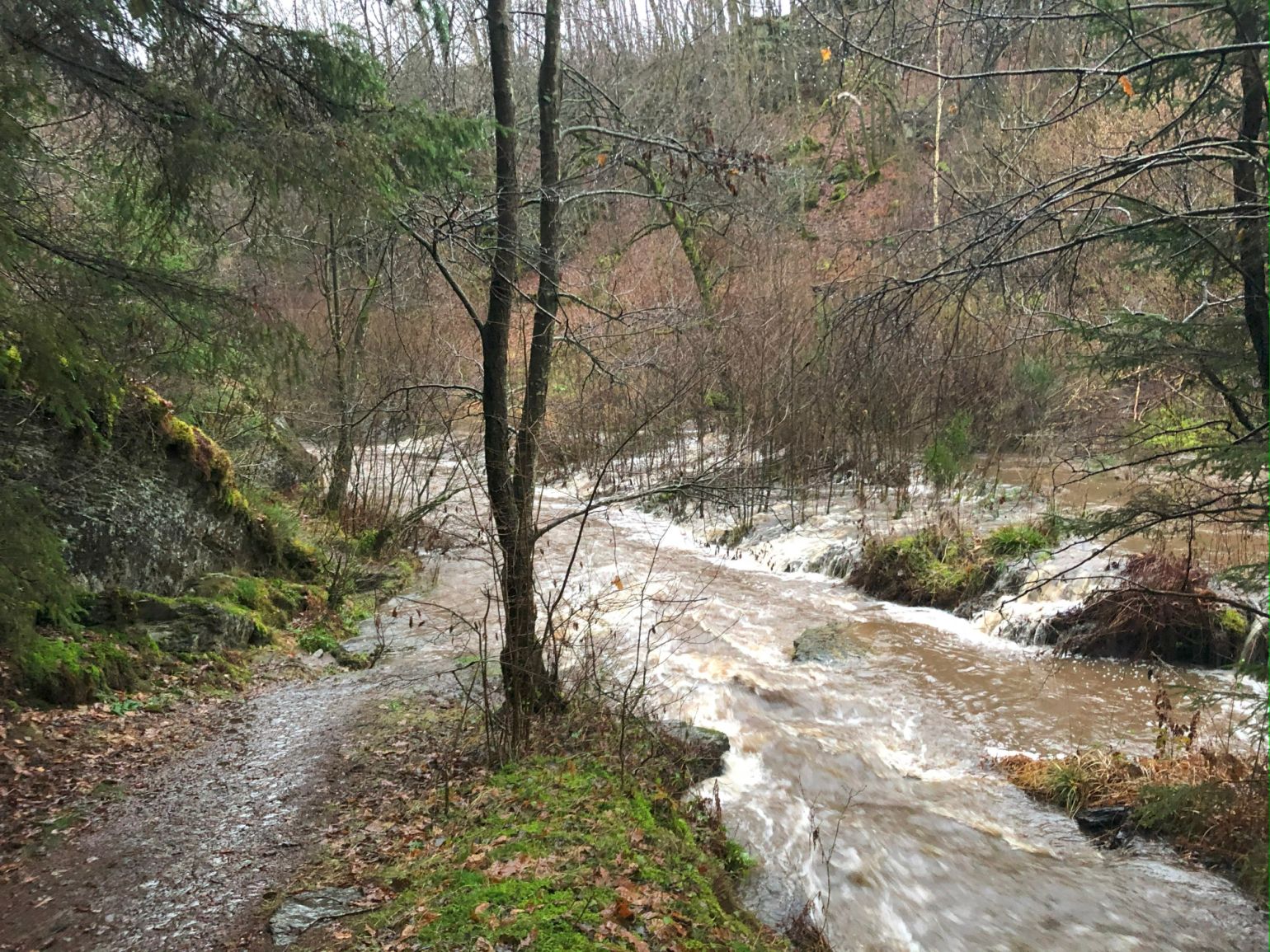 48 vallee des fees